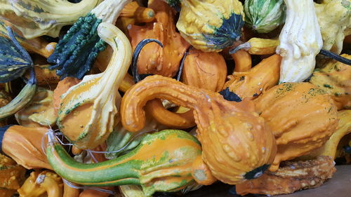 Close-up of pumpkins