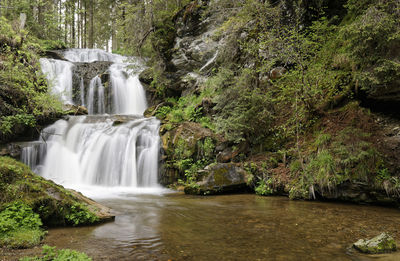 Scenic view of waterfall in forest