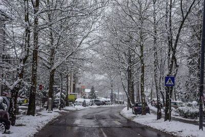 Road amidst bare trees during winter