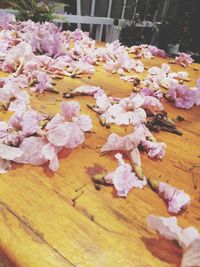 Close-up of pink flowers on table