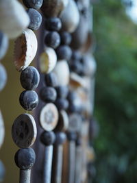 Close-up of grapes