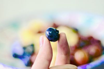 Cropped hand holding berry fruit