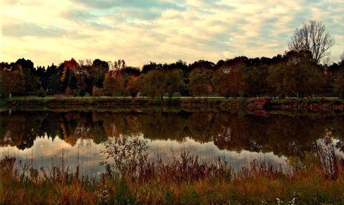 Reflection of trees in lake