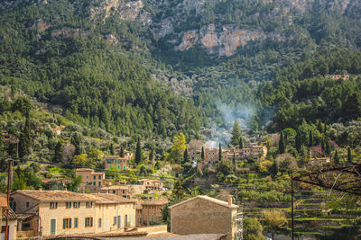 High angle view of trees and buildings in forest