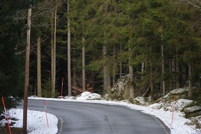 Road amidst trees in forest during winter