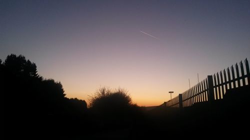 Silhouette of trees at sunset