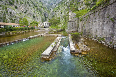 River flowing through forest