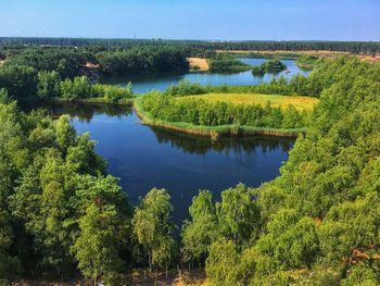 Scenic view of lake in forest against sky