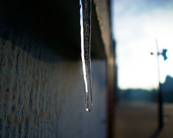 Close-up of icicles hanging on metal during winter