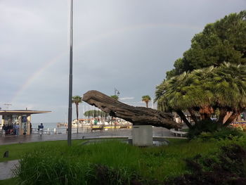 Panoramic view of people by palm trees against sky