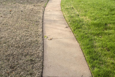 High angle view of footpath