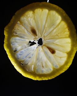 Directly above shot of lemon slice