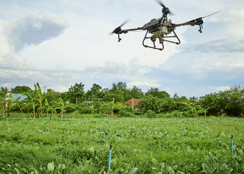 Scenic view of agricultural field against sky