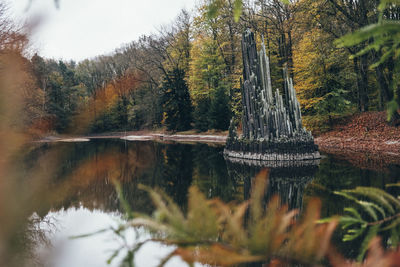 Scenic view of lake in forest during autumn