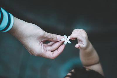 Close-up of hand holding finger