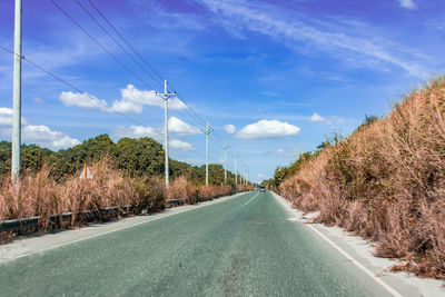 Road amidst trees against sky