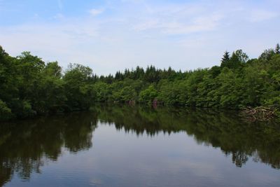 Reflection of trees in lake against sky