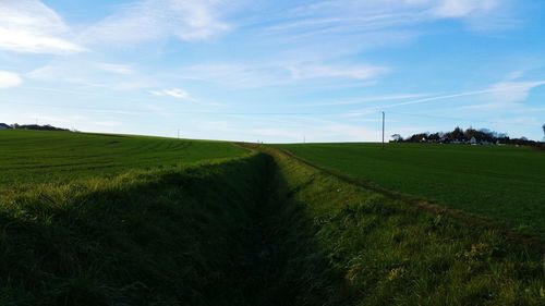 Scenic view of field against sky