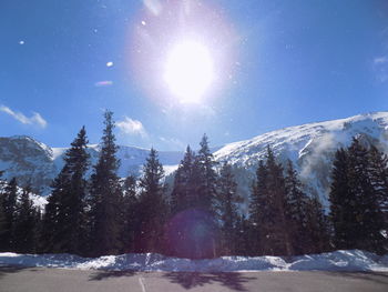 Trees on snow covered landscape against sky