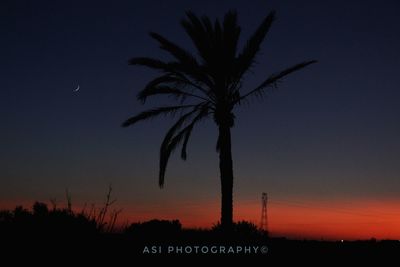 Silhouette palm trees against sky at sunset