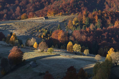 Scenic view of river amidst trees during autumn