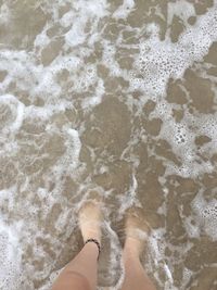 Low section of woman standing on shore at beach