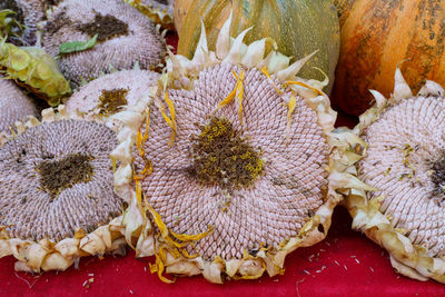 Drying sunflowers and selling them in the local farmers market