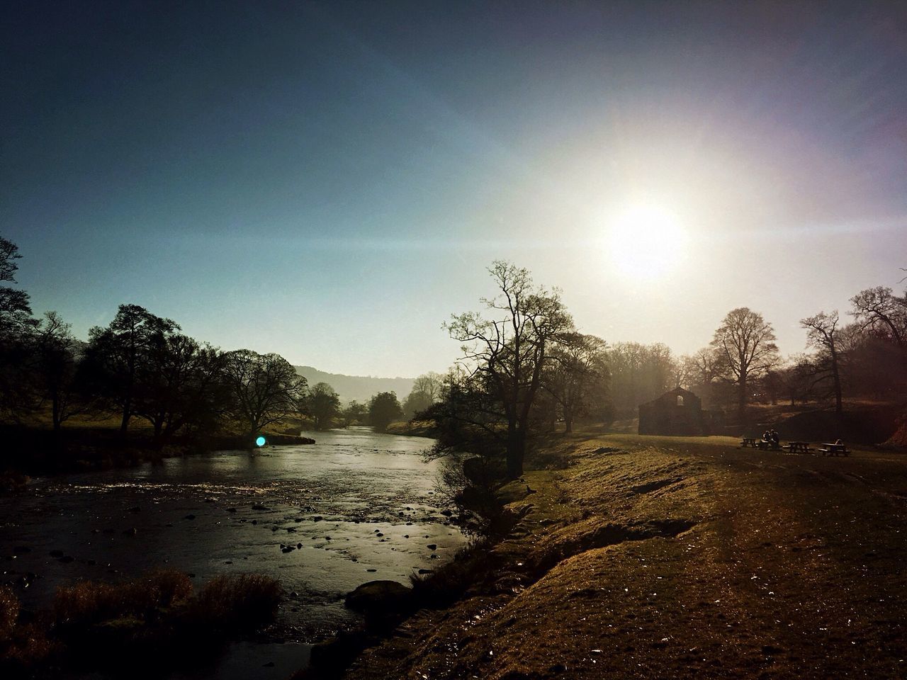 water, tree, sunlight, sunset, sky, nature, sun, beauty in nature, no people, sunbeam, outdoors, scenics, beach, day