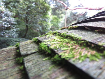 Close-up of wooden railing
