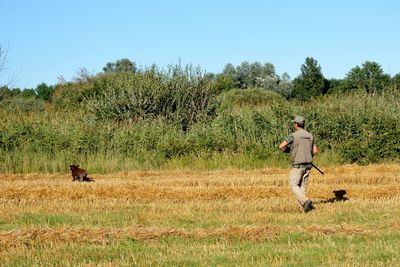 Rear view of man holding rifle while walking on land