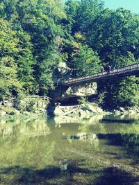 Scenic view of river