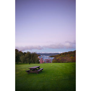 View of grassy field against sky