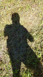 High angle view of shadow on field