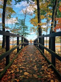 Fallen leaves on railing against trees during autumn