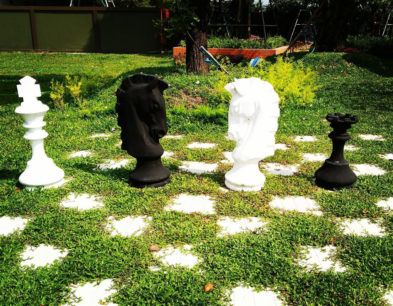 FULL FRAME SHOT OF CHESS PIECES ON FIELD