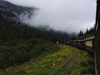 Train on railroad track by trees during foggy weather