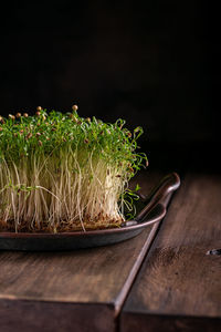 Fresh microgreens on a wooden table, healthy lifestyle concept, close up