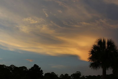 Low angle view of silhouette trees against sky