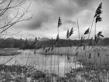 Scenic view of lake against cloudy sky