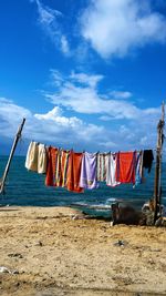 Clothes drying on clothesline against sky