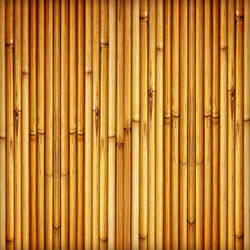 Full frame shot of bamboo on wall