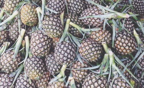 Full frame shot of vegetables for sale