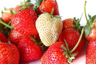 Close-up of strawberries