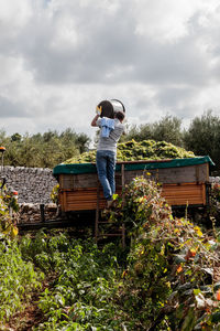 Rear view of man standing by plants against sky