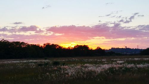 Scenic view of field against sky at sunset