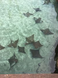 High angle view of water