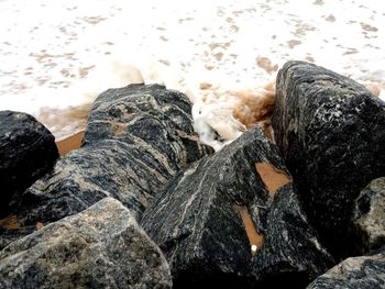 High angle view of rocks on shore during winter