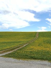 Scenic view of field against sky