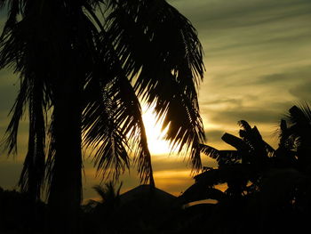 Low angle view of silhouette palm trees against sky