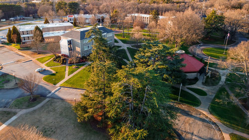 High angle view of trees and buildings